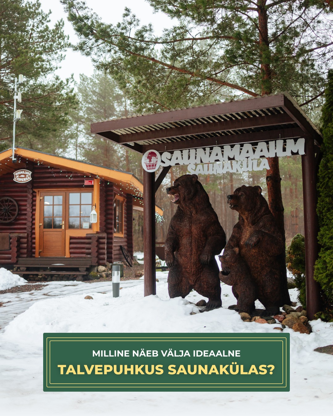 ❄️ Milline näeb välja ideaalne talvepuhkus Saunakülas?

See imeline hetk, mil linnatuled jäävad selja taha ja ümberringi on talvine mets, vaikus ja värske õhk.

Saunaküla talved on tõeliselt hubased ja rahulikud.
🔥 Kuum saun, mis soojendab Sind pärast jahedat päeva
💦 Kümblustünn
🌲 Talvine männimets ja privaatsus
🍖 Soe grillitud õhtusöök ja pikad vestlused
✨ Atmosfäär, mis aitab tempot aeglustada, et olla "siin ja praegu"

Ideaalne talvepuhkus ei pea tähendama kiirustamist ja rapsimist, vaid hoopis soojust ja mugavaid hetki enda ja oma lähedaste jaoks.

Just sellise tunde Saunakülast saadki.

📅 Planeeri oma talvepuhkus ette 👉 saunakula.ee
📧 sauna@saunamaailm.ee
📞 +372 55 000 75

#saunaküla #talvepuhkus #saunapuhkus #tünnisaun #hubanepuhkus #talvinemets #metsapuhkus #puhkuslooduses #rahulikhetk #lõõgastus #privaatnepuhkus #eestimetsad #saunaelamus #talvineõhtu #hetkedmisjäävad #puhkuskoos