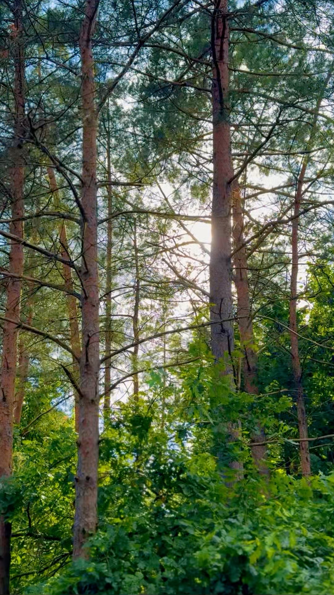 Mis teeb Saunakülast erilise koha?

Meie juurde tullakse, sest siin on:
💚 Vaikus ja privaatsus
🔥 Tõeline saunaõhkkond
🎯 Mitmeid võimalusi puhkamiseks
🏞️ Avatud roheala
🚗 Mugav asukoht Tallinna lähedal

Saunaküla ei paku lihtsalt öömaja... See on paik, kuhu tahetakse ikka ja jälle tagasi tulla.

📅 Broneeri oma vaikuse oaas 👉 saunakula.ee
📧 sauna@saunamaailm.ee
📞 +372 55 000 75

#saunaküla #erilinekoht #metsapuhkus #rahulikhetk #puhkuslooduses