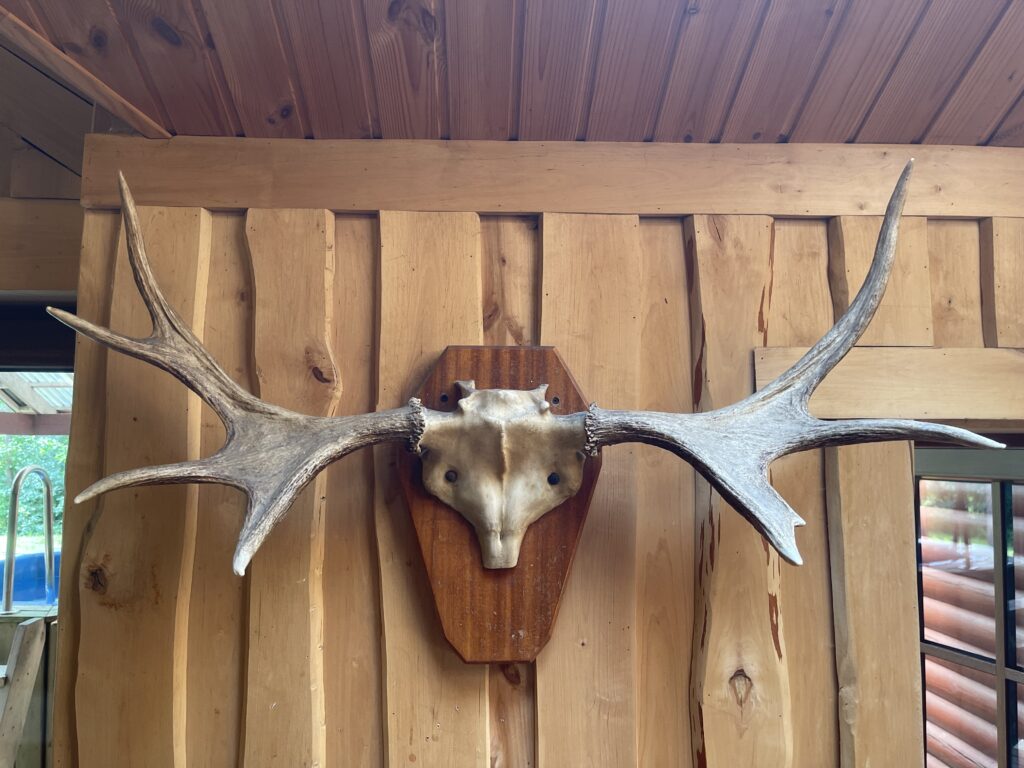 Saunaküla - Neli unikaalset puhkemaja vähem kui 10 km Tallinnast! Банная деревня - Четыре уникальных загородных дома менее чем в 10 км от Таллинна!