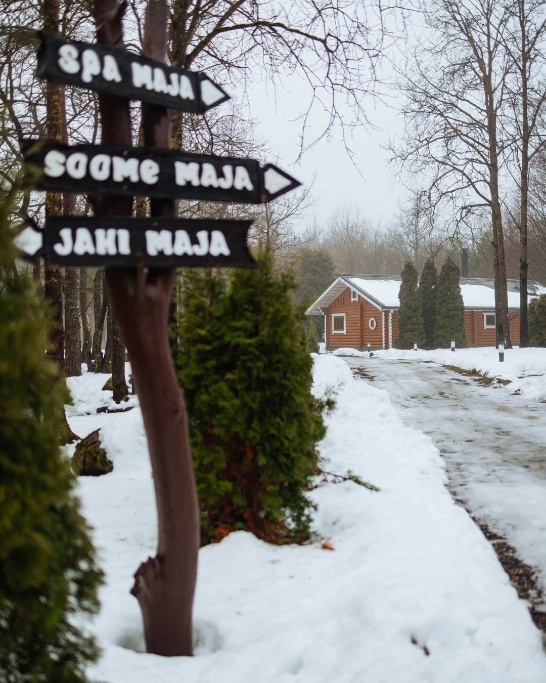 Talvised traditsioonid Saunakülas 🔥❄️

Sukeldu Saunaküla talviste traditsioonide maailma! Saunaelamused, -rituaalid ja mõnusad õhtud pere ning sõpradega keskel... See kõik muudab Saunaküla ideaalseks paigaks, kus talvepuhkus veeta.

Lõõgastu ja loo uusi traditsioone meie juures!

📅 Naudi talve tervislikult ja hubaselt Saunakülas!
🌐 saunakula.ee
📧 sauna@saunamaailm.ee
📞 +372 55 000 75

#Saunaküla #talvinetraditsioon #saunakogemus #lõõgastus #saun #tervis #saunaelu #Saunamaailm #perepuhkus