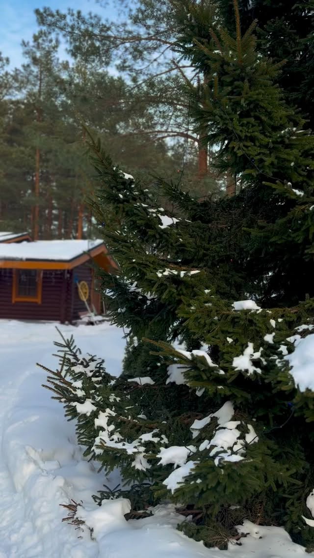 Saunaküla pole lihtsalt koht, kus saunatada – see on tõeline puhkusekoht!

📅 Broneeri oma täiuslik puhkus: 👉 saunakula.ee
📧 sauna@saunamaailm.ee
📞 +372 55 000 75

#saunaküla #saunapuhkus #puhkuslooduses #tünnisaun #romantilinepuhkus