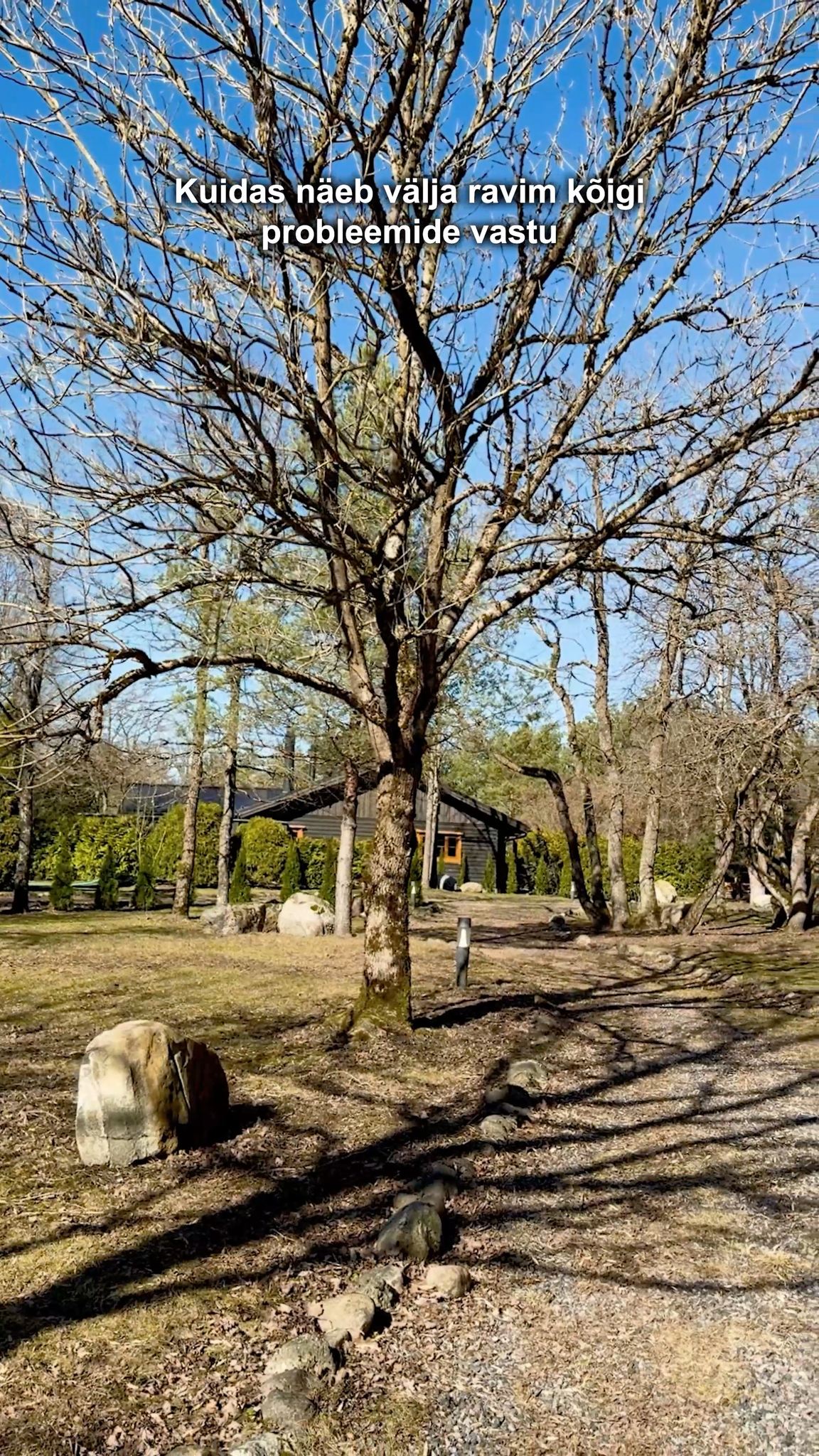 Kevad on käes – ära maga parimaid kuupäevi maha!

✅ Hubased majakesed seltskondadele, peredele ja paaridele
🔥 Kuum kümblustünn täiuslikuks lõõgastuseks
🍖 Grill-ala mõnusateks õhtuteks

📅 Broneeri varakult, kuniks vabu kuupäevi veel jätkub: 👉 saunakula.ee
📧 sauna@saunamaailm.ee
📞 +372 55 000 75

#saunaküla #kevadpuhkus #detoks #lõõgastus #tünnisaun