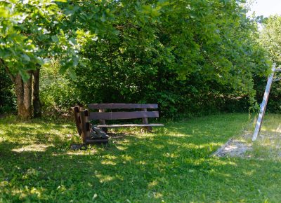 Saunakülas leiad rohkelt rohelust
